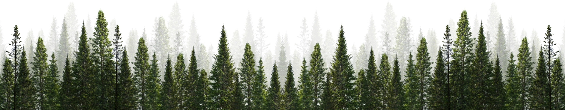 Corporate responsibility